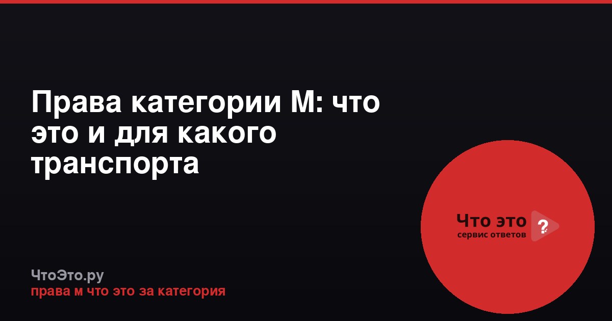 Права категории М: что это и для какого транспорта