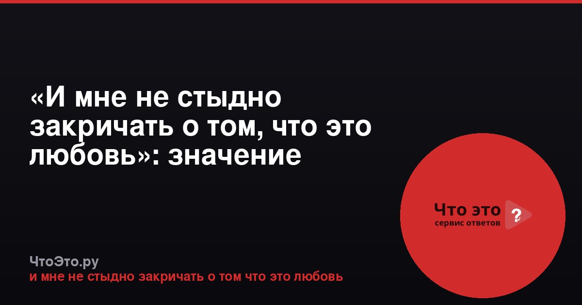 «И мне не стыдно закричать о том, что это любовь»: значение фразы