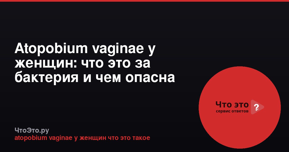 Atopobium vaginae у женщин: что это за бактерия и чем опасна