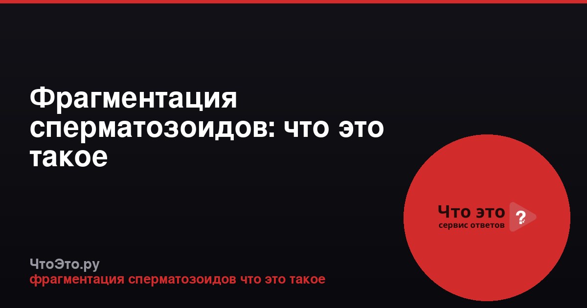 Фрагментация сперматозоидов: что это такое