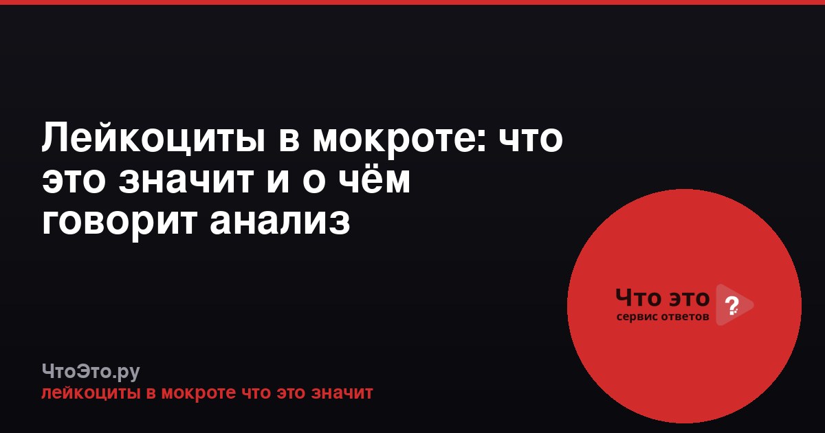 Лейкоциты в мокроте: что это значит и о чём говорит анализ