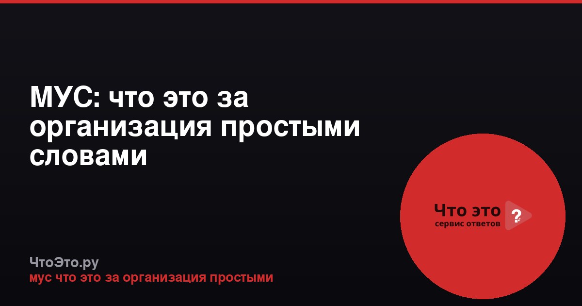 МУС: что это за организация простыми словами