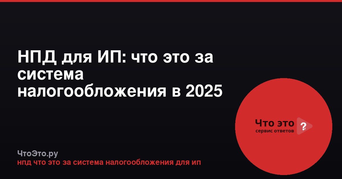 НПД для ИП: что это за система налогообложения в 2025 году