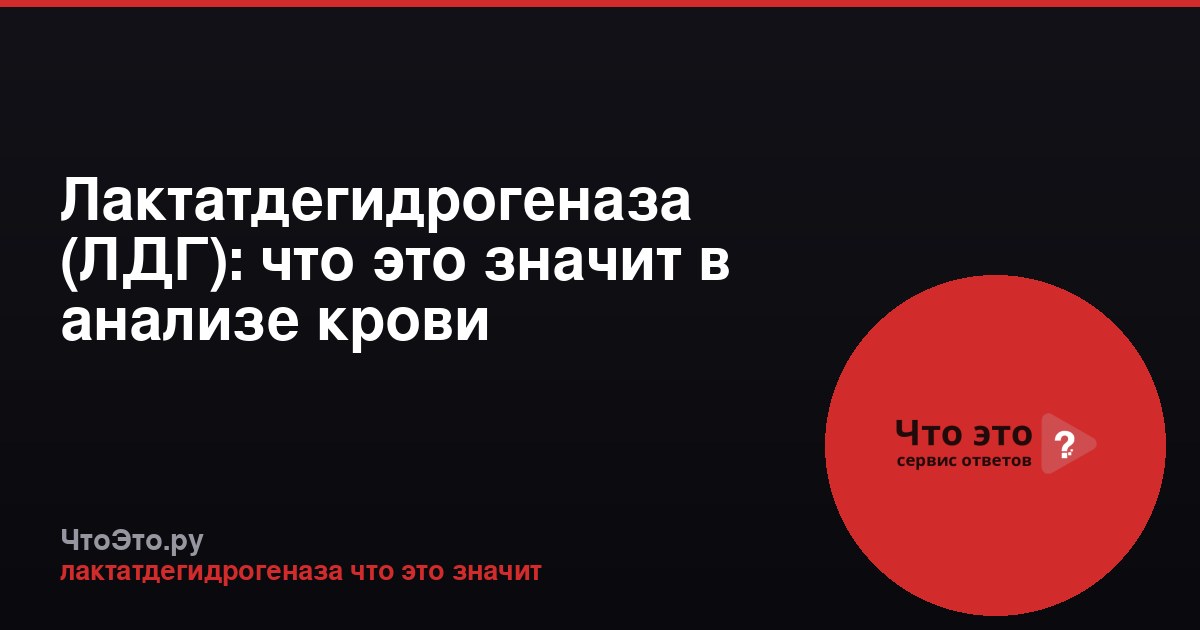 Лактатдегидрогеназа (ЛДГ): что это значит в анализе крови