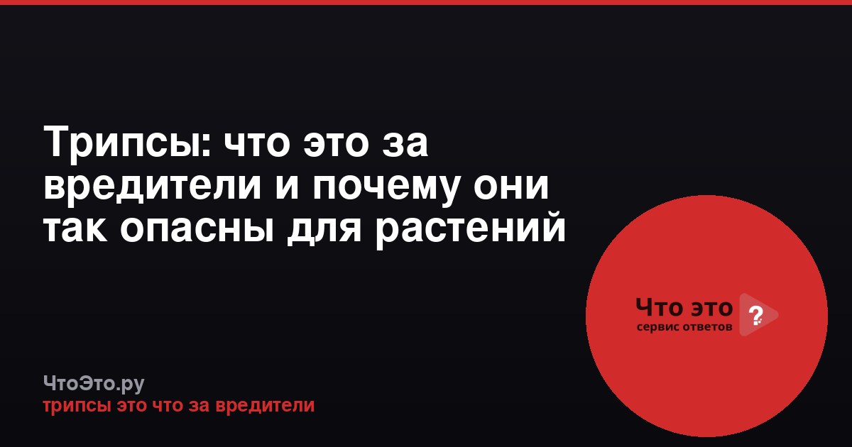 Трипсы: что это за вредители и почему они так опасны для растений