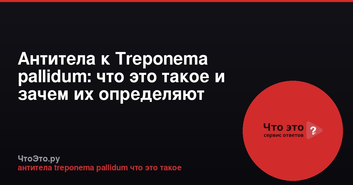 Антитела к Treponema pallidum: что это такое и зачем их определяют