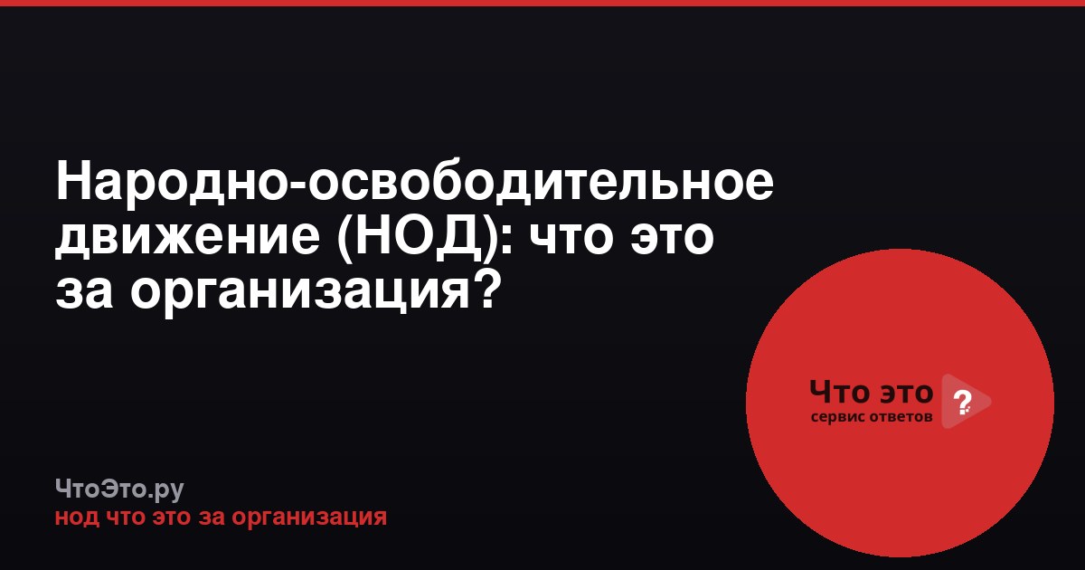 Народно-освободительное движение (НОД): что это за организация?