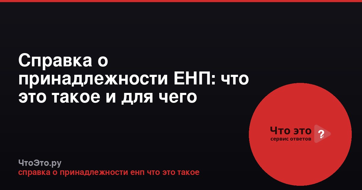 Справка о принадлежности ЕНП: что это такое и для чего нужна