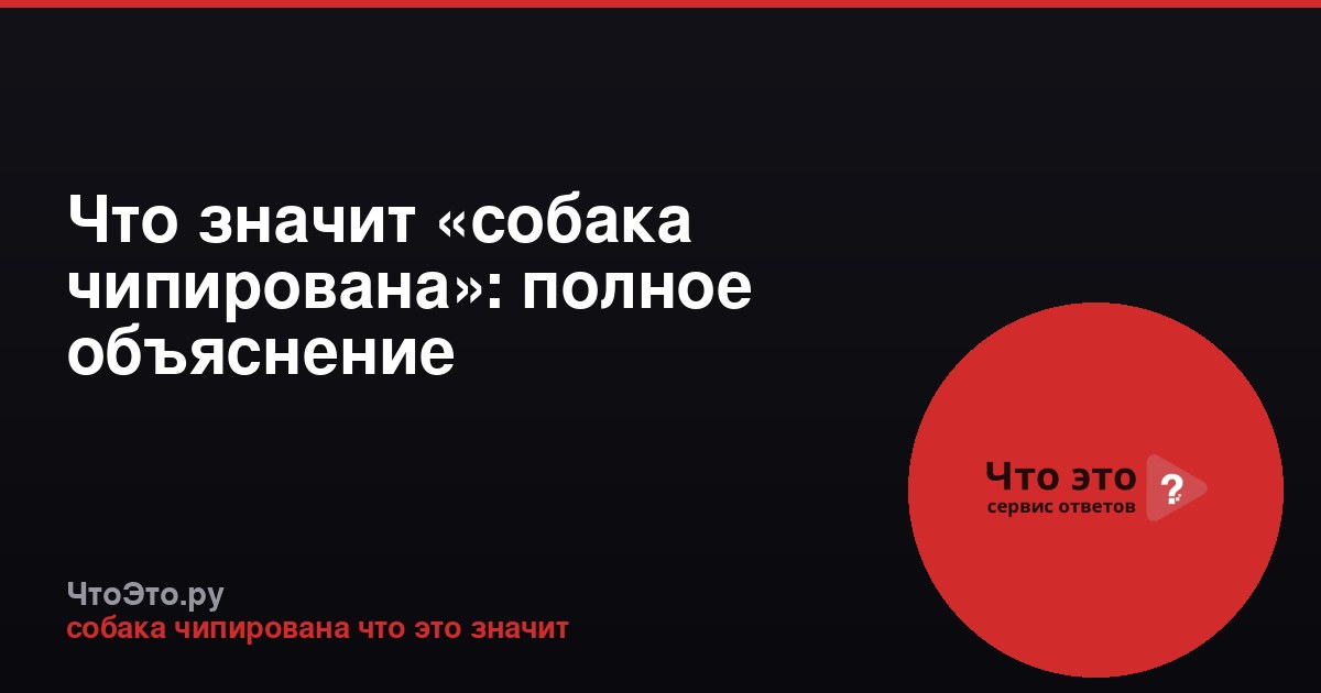 Что значит «собака чипирована»: полное объяснение