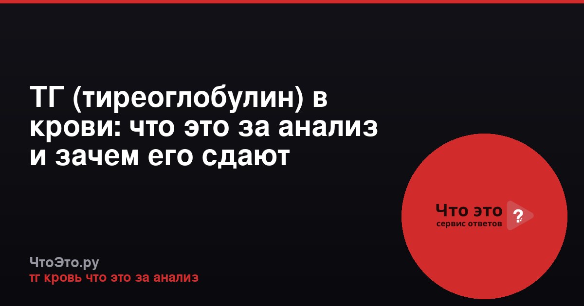 ТГ (тиреоглобулин) в крови: что это за анализ и зачем его сдают