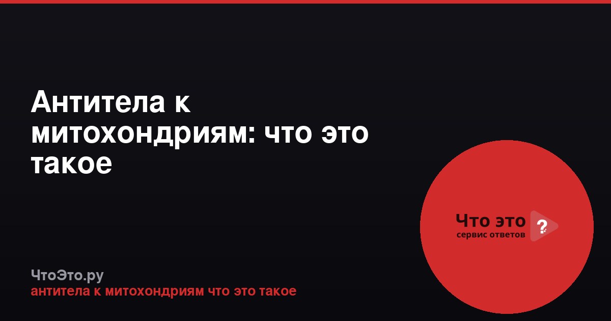 Антитела к митохондриям: что это такое