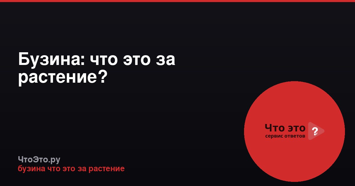 Бузина: что это за растение?