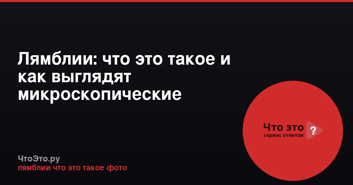 Лямблии: что это такое и как выглядят микроскопические паразиты