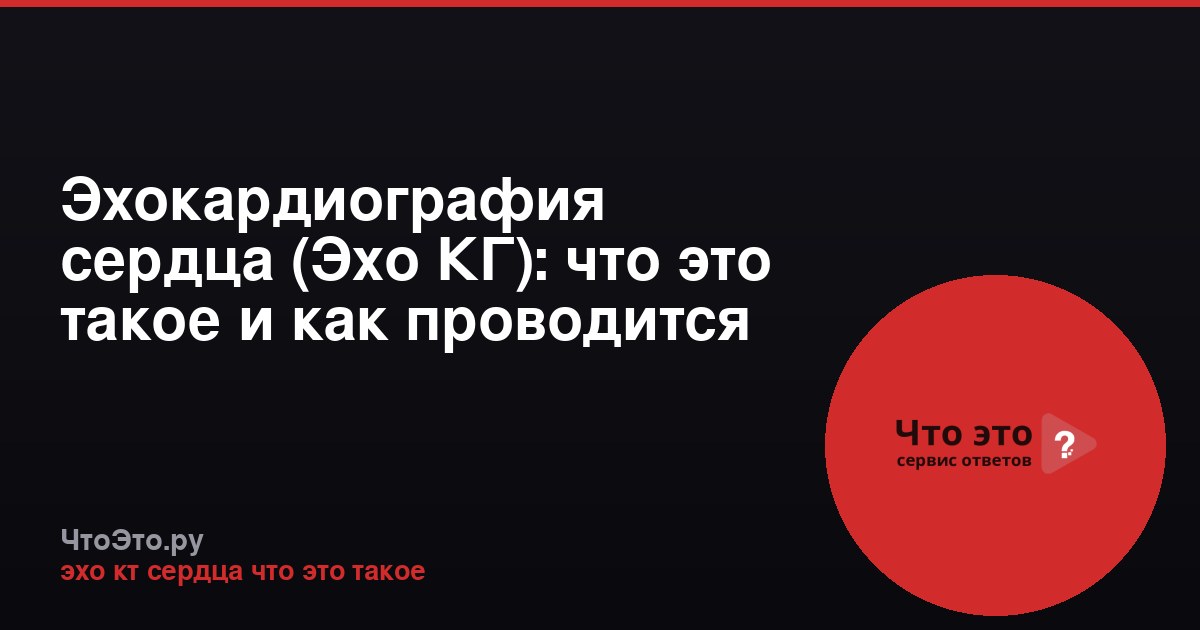 Эхокардиография сердца (Эхо КГ): что это такое и как проводится