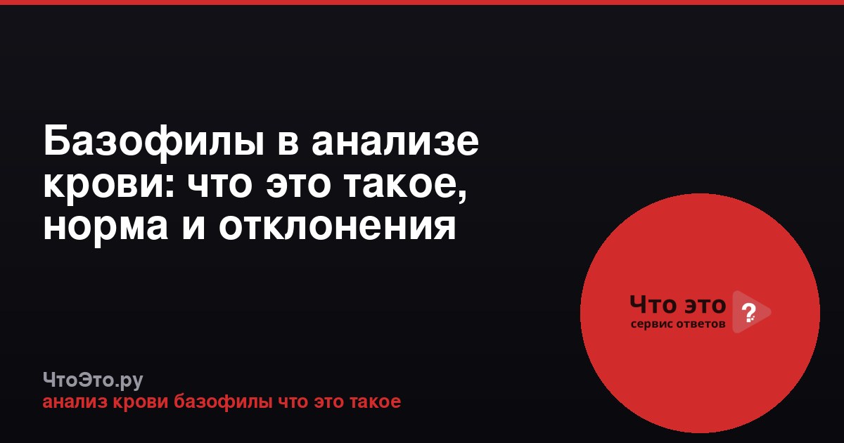 Базофилы в анализе крови: что это такое, норма и отклонения