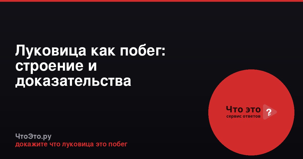 Луковица как побег: строение и доказательства
