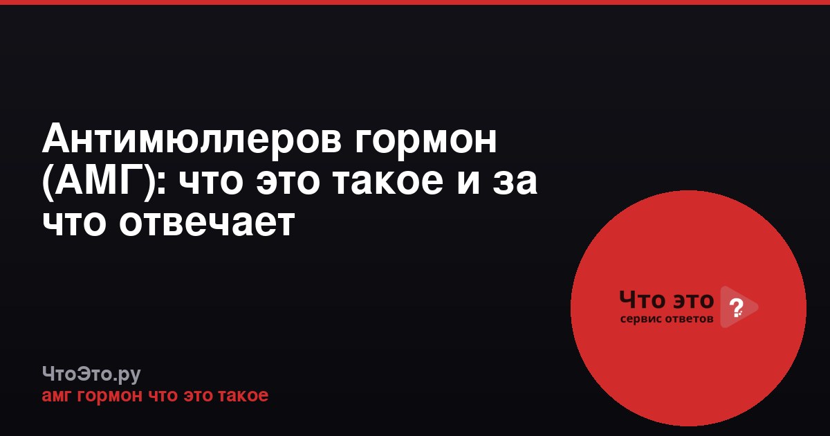 Антимюллеров гормон (АМГ): что это такое и за что отвечает