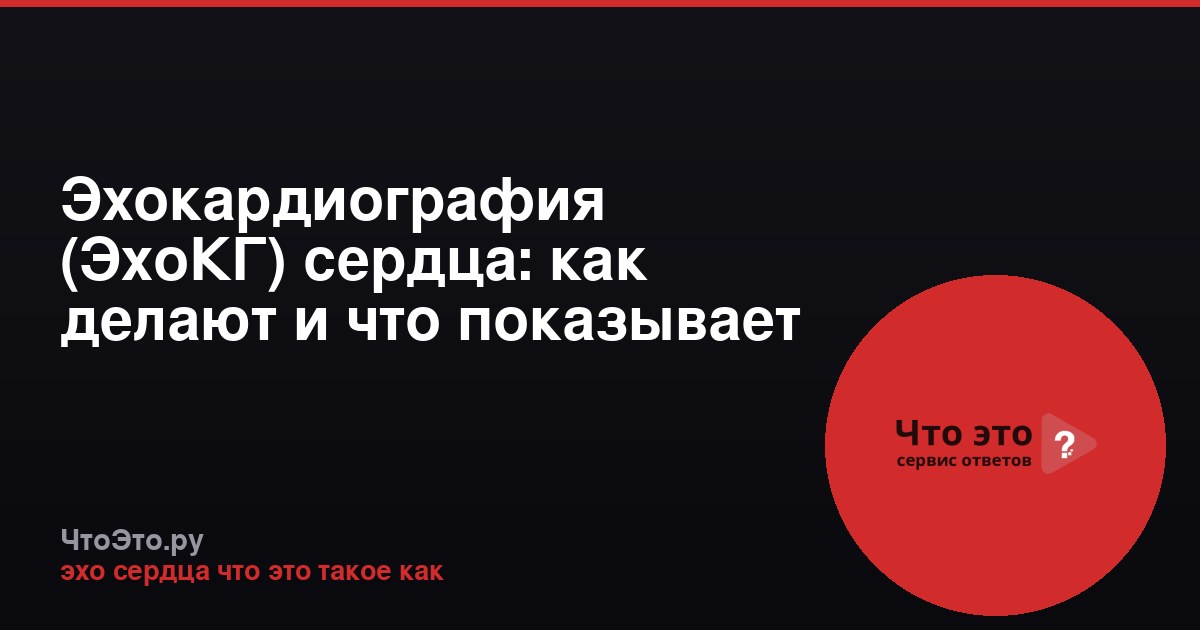 Эхокардиография (ЭхоКГ) сердца: как делают и что показывает