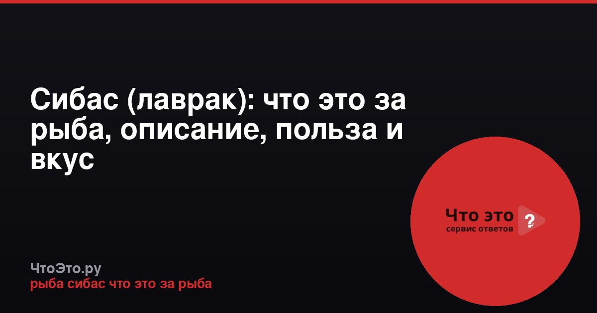 Сибас (лаврак): что это за рыба, описание, польза и вкус