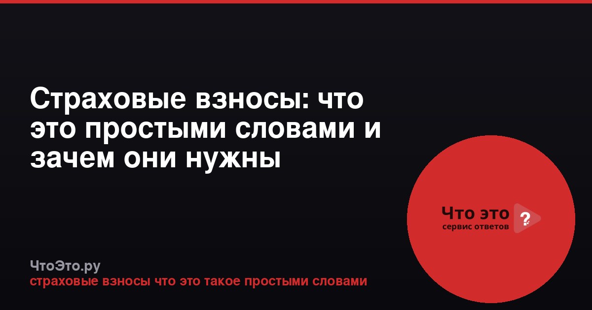 Страховые взносы: что это простыми словами и зачем они нужны