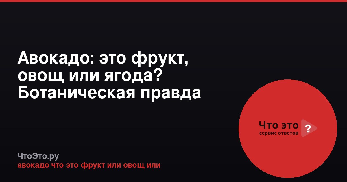 Авокадо: это фрукт, овощ или ягода? Ботаническая правда