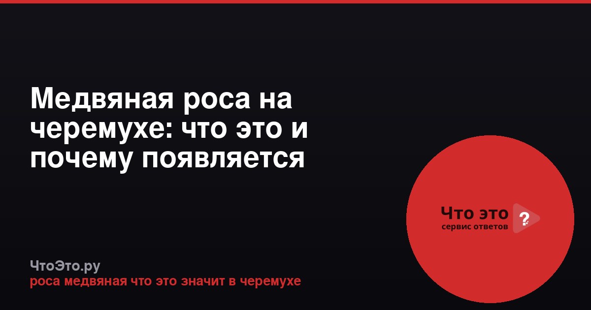 Медвяная роса на черемухе: что это и почему появляется