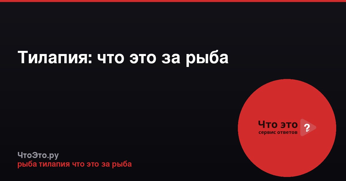 Тилапия: что это за рыба