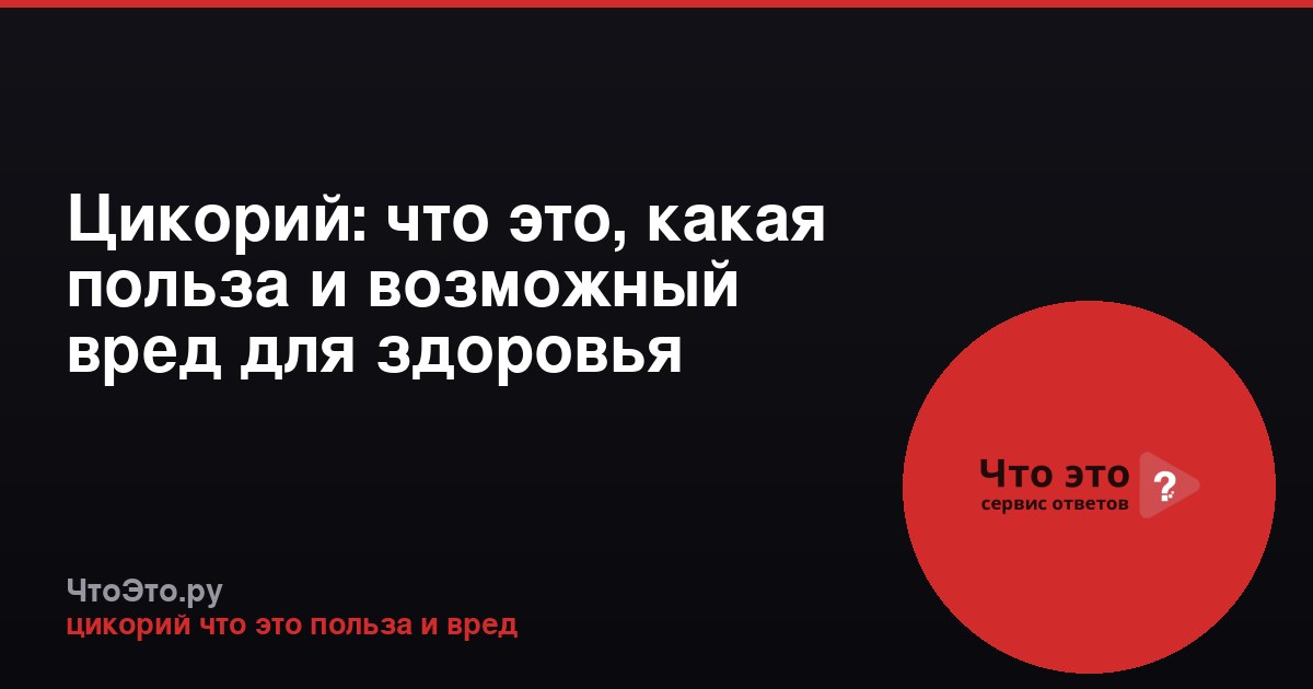 Цикорий: что это, какая польза и возможный вред для здоровья