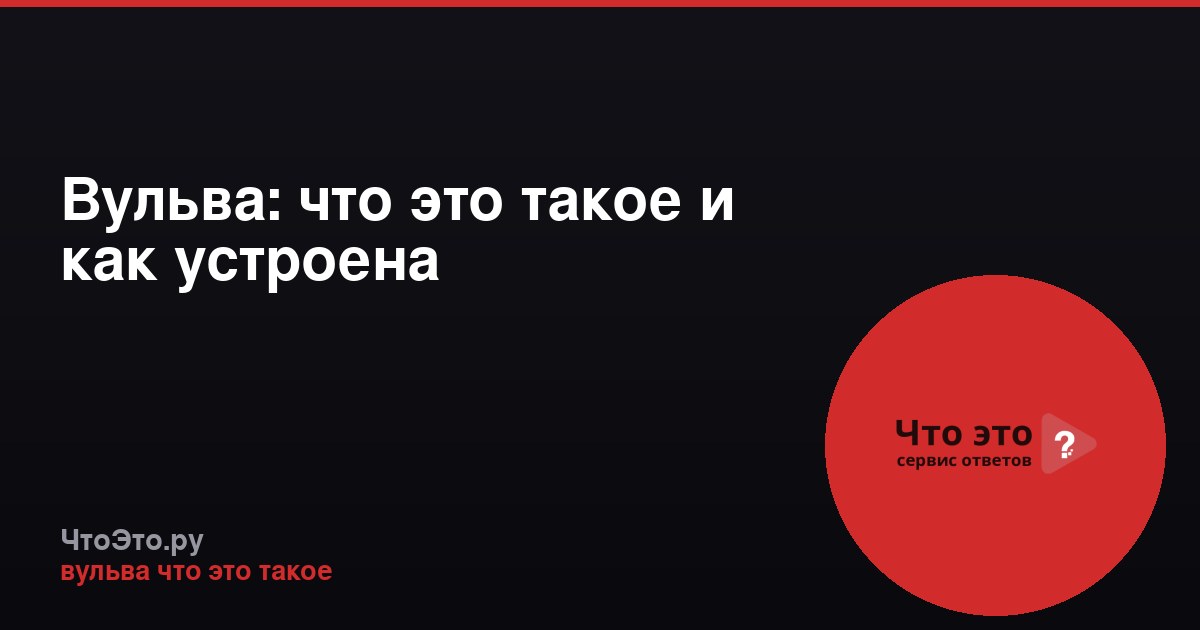 Вульва: что это такое и как устроена
