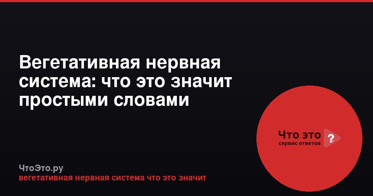 Вегетативная нервная система: что это значит простыми словами