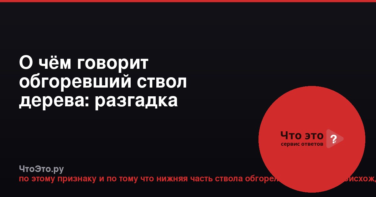 О чём говорит обгоревший ствол дерева: разгадка происхождения