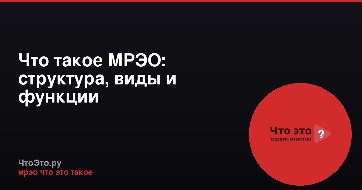 Что такое МРЭО: структура, виды и функции