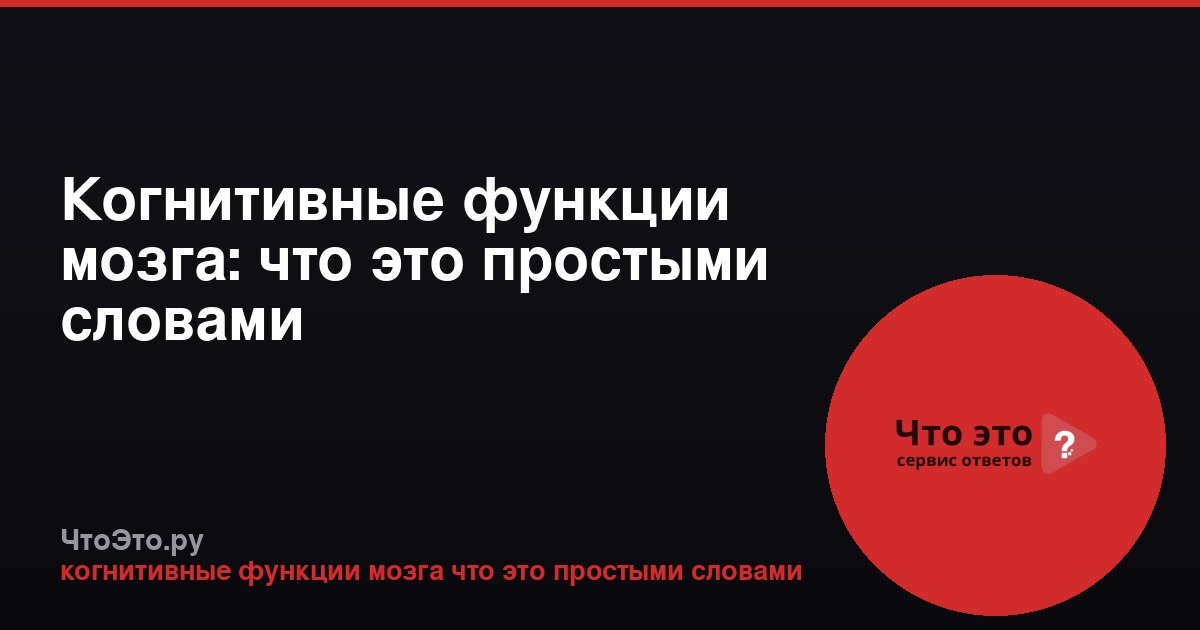 Когнитивные функции мозга: что это простыми словами