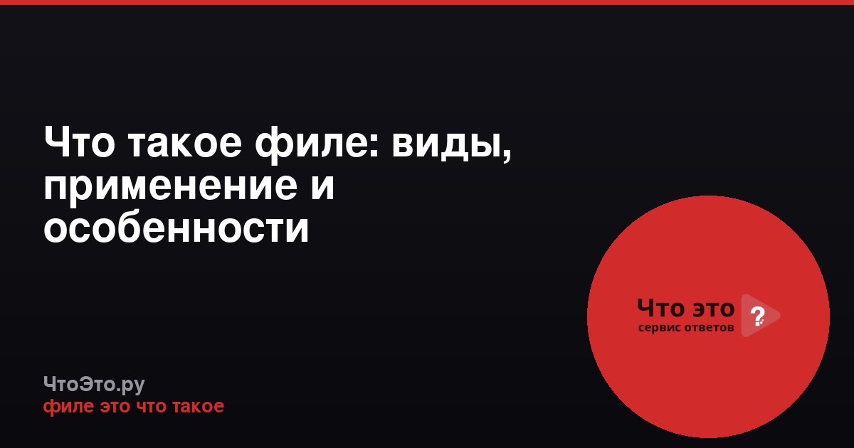 Что такое филе: виды, применение и особенности