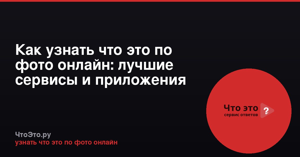 Как узнать что это по фото онлайн: лучшие сервисы и приложения