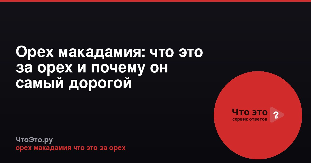 Орех макадамия: что это за орех и почему он самый дорогой