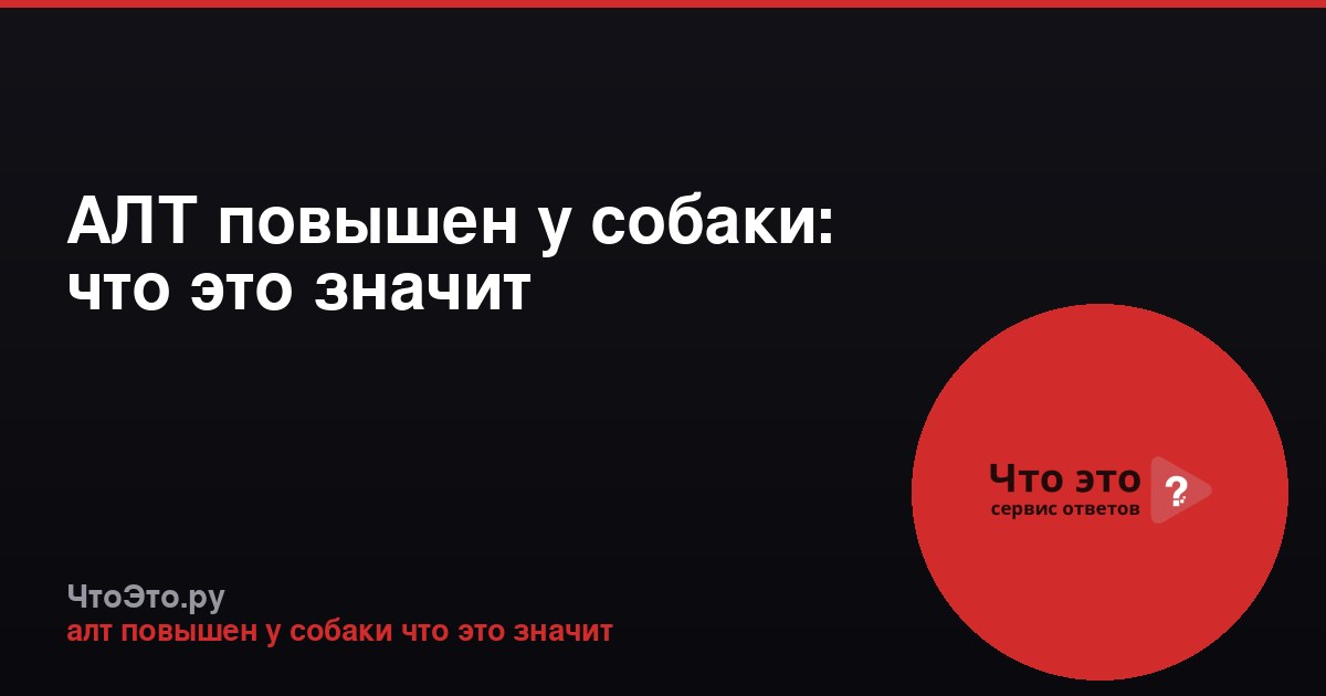 АЛТ повышен у собаки: что это значит