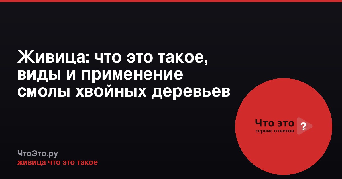 Живица: что это такое, виды и применение смолы хвойных деревьев