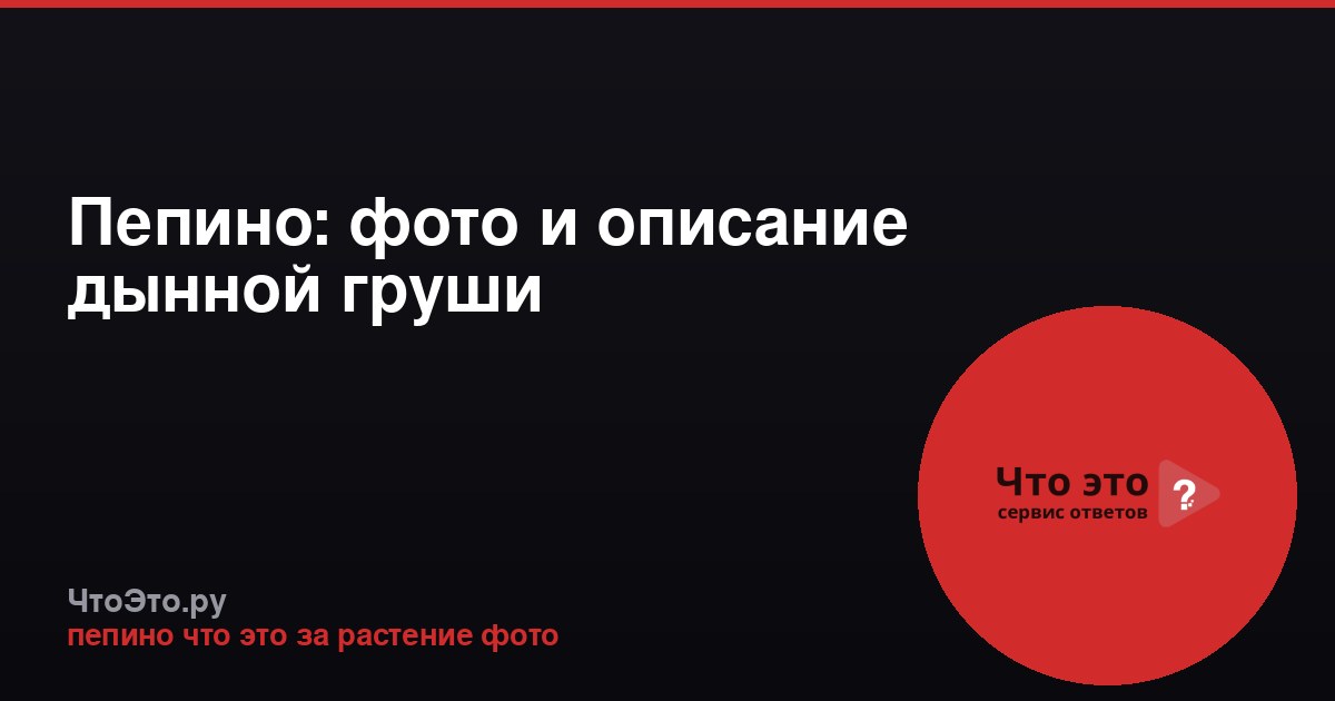 Пепино: фото и описание дынной груши