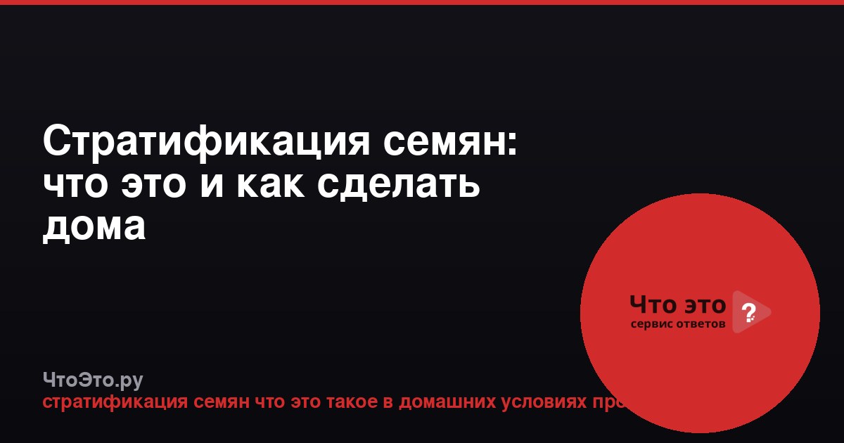 Стратификация семян: что это и как сделать дома