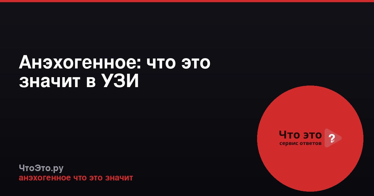 Анэхогенное: что это значит в УЗИ