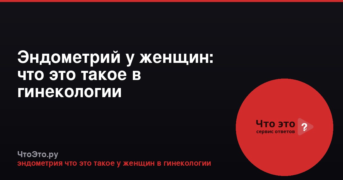 Эндометрий у женщин: что это такое в гинекологии