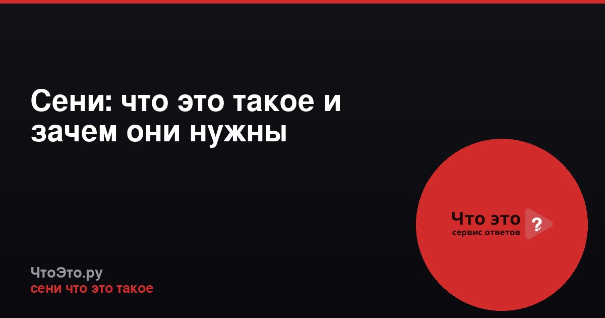 Сени: что это такое и зачем они нужны